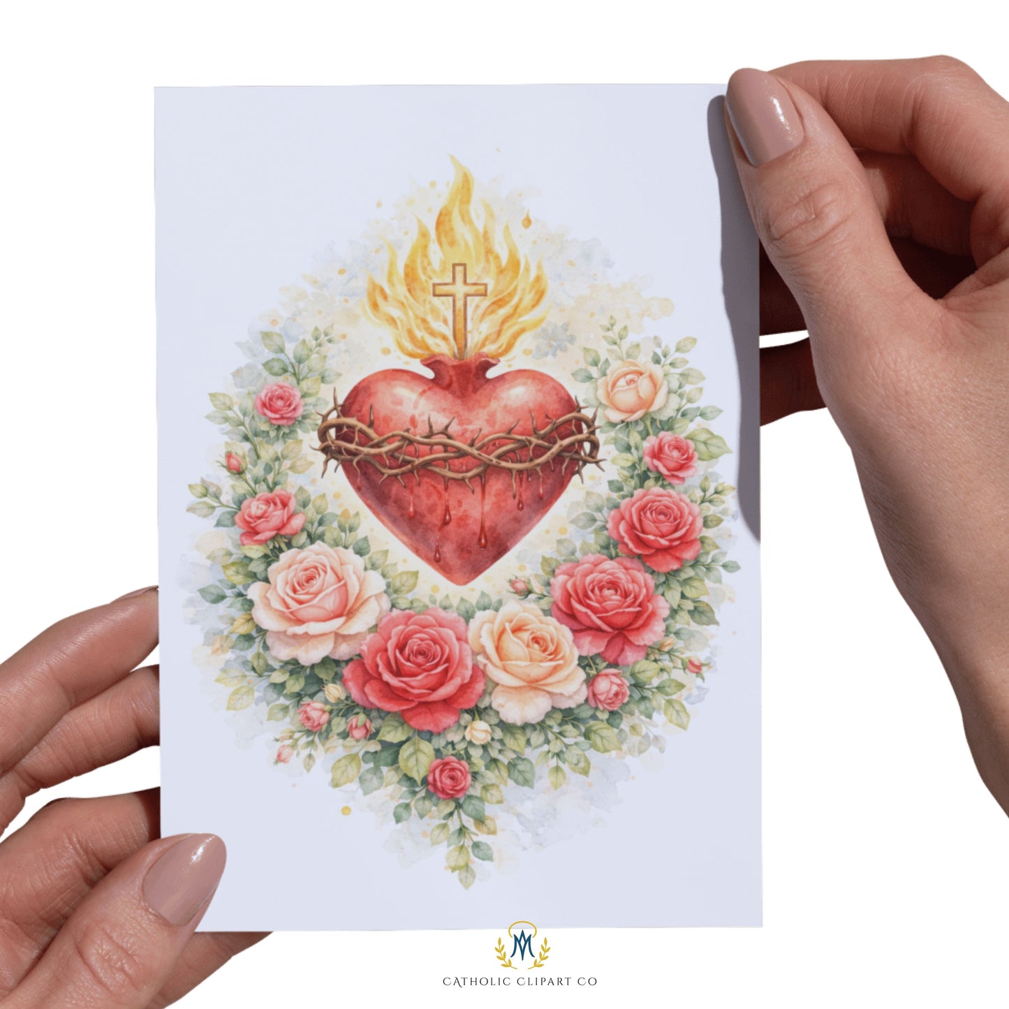 Sacred Heart of Jesus Clipart PNG | Floral Catholic Sacred Heart Watercolor | Christian Devotional Art, Roses, Prayer Card Design