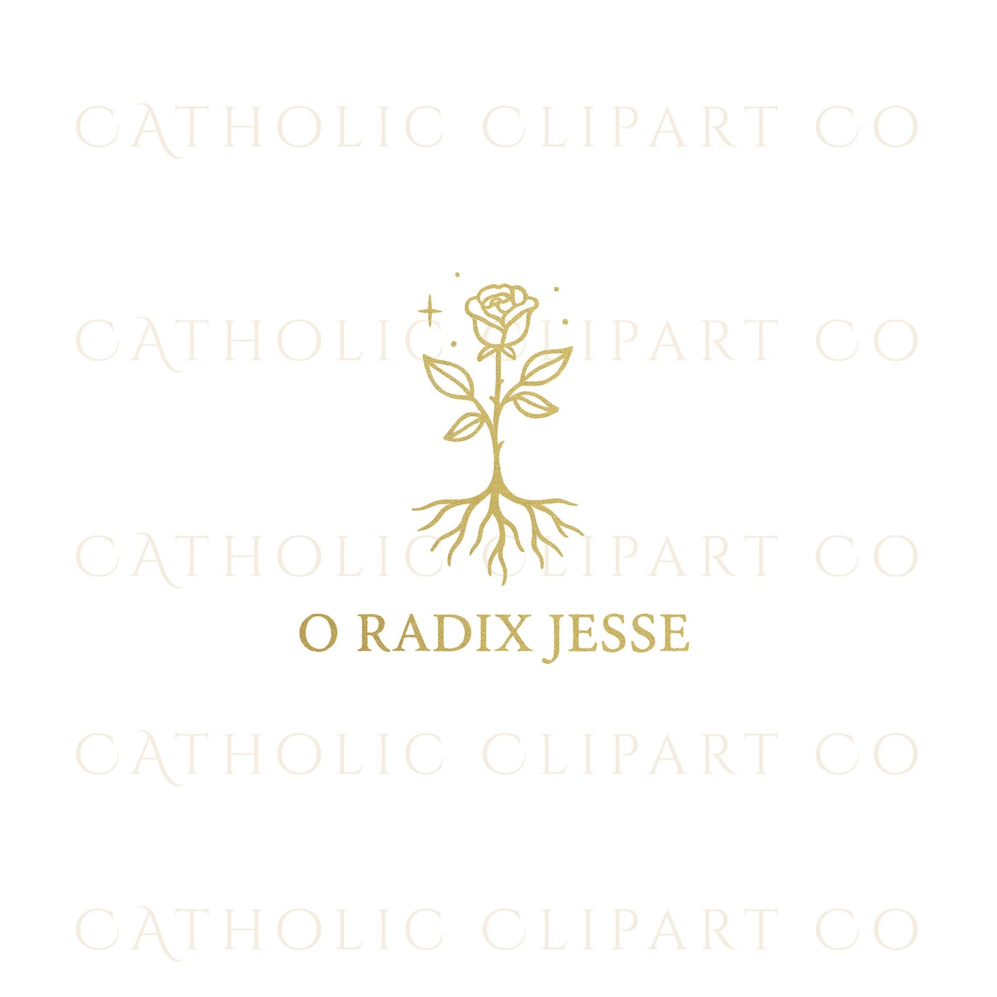 Gold O Radix Jesse rose with roots • Rosa dorada con raíces para O Radix Jesse