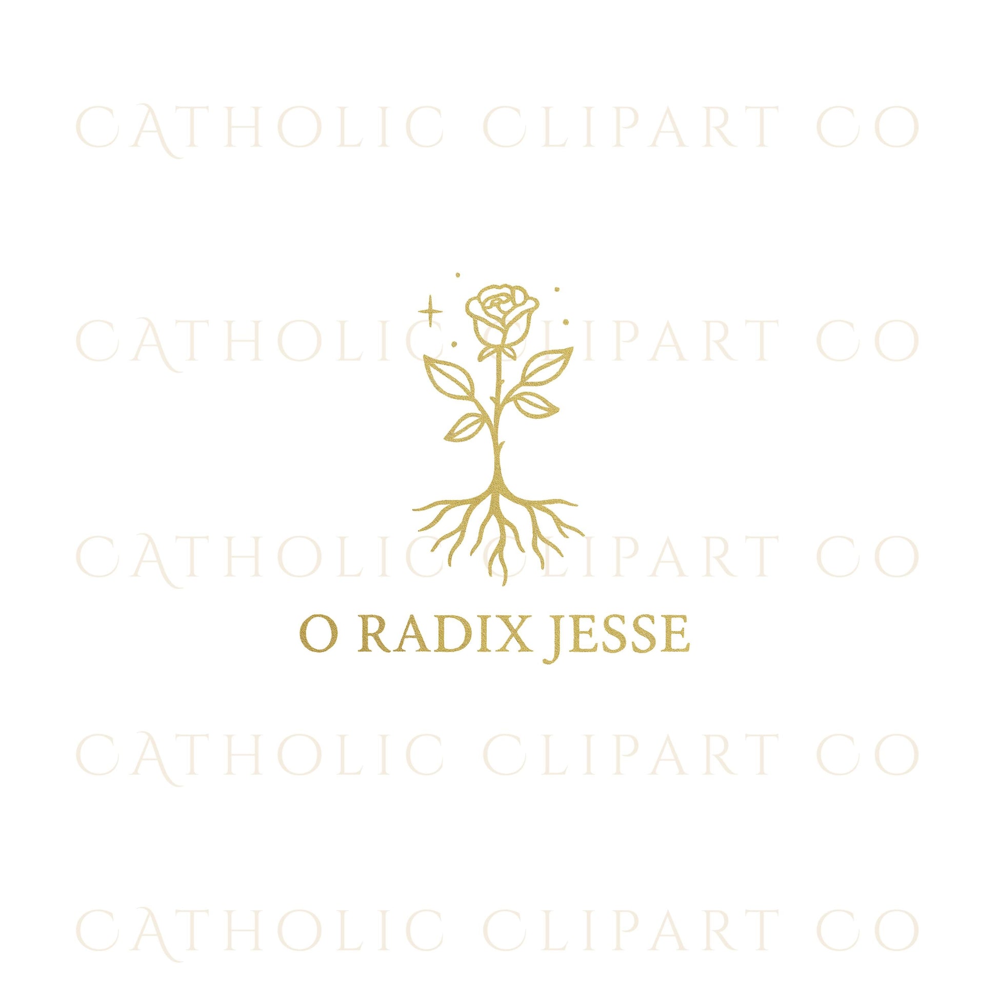 Gold O Radix Jesse rose with roots • Rosa dorada con raíces para O Radix Jesse