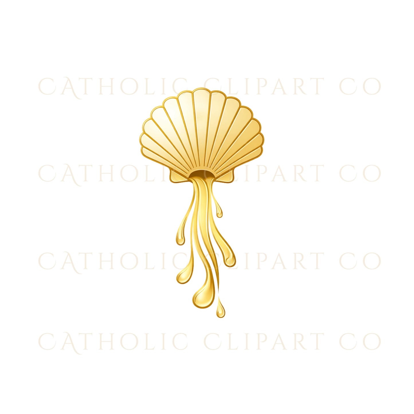 Catholic baptism shell with water
Concha de bautismo católica con agua