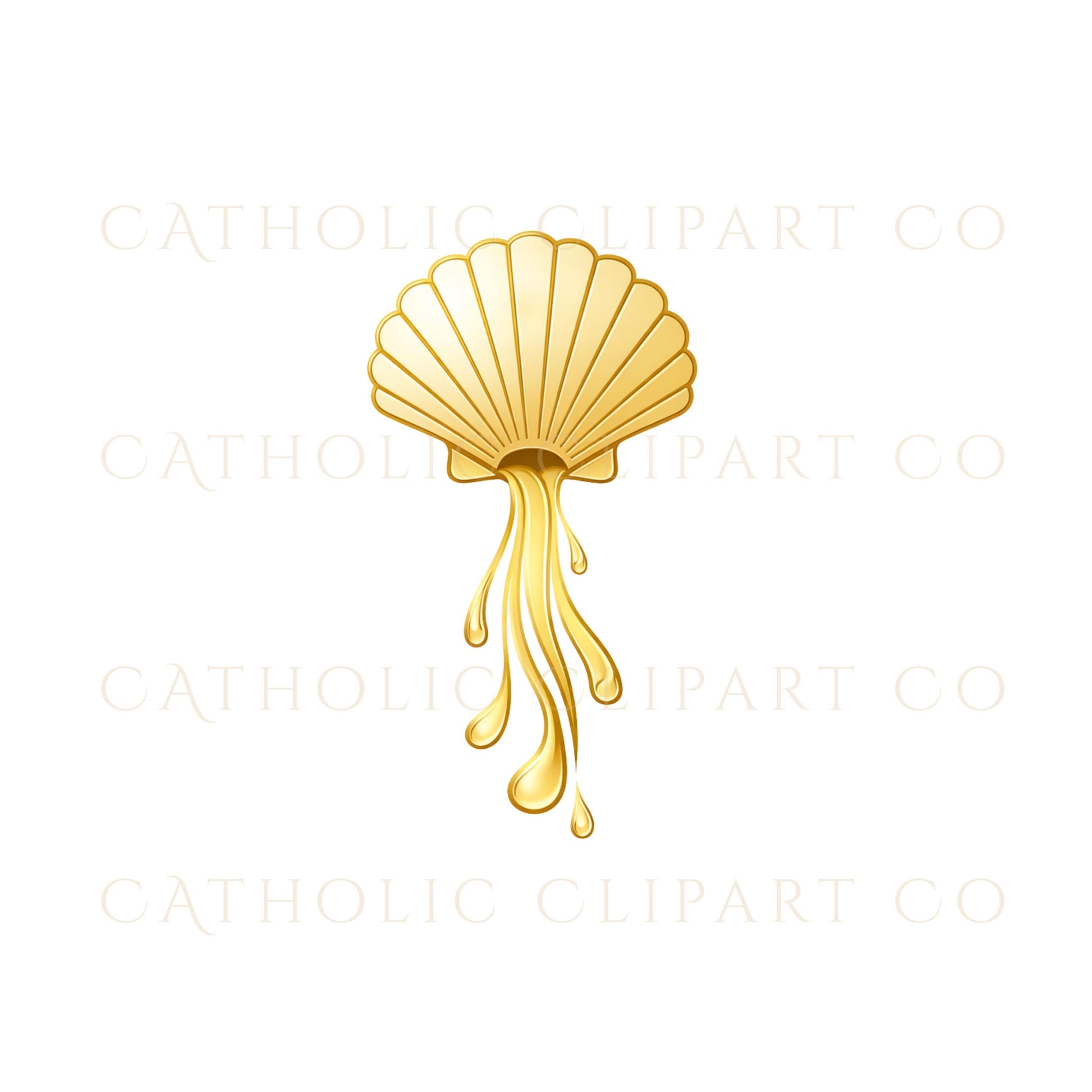 Catholic baptism shell with water
Concha de bautismo católica con agua