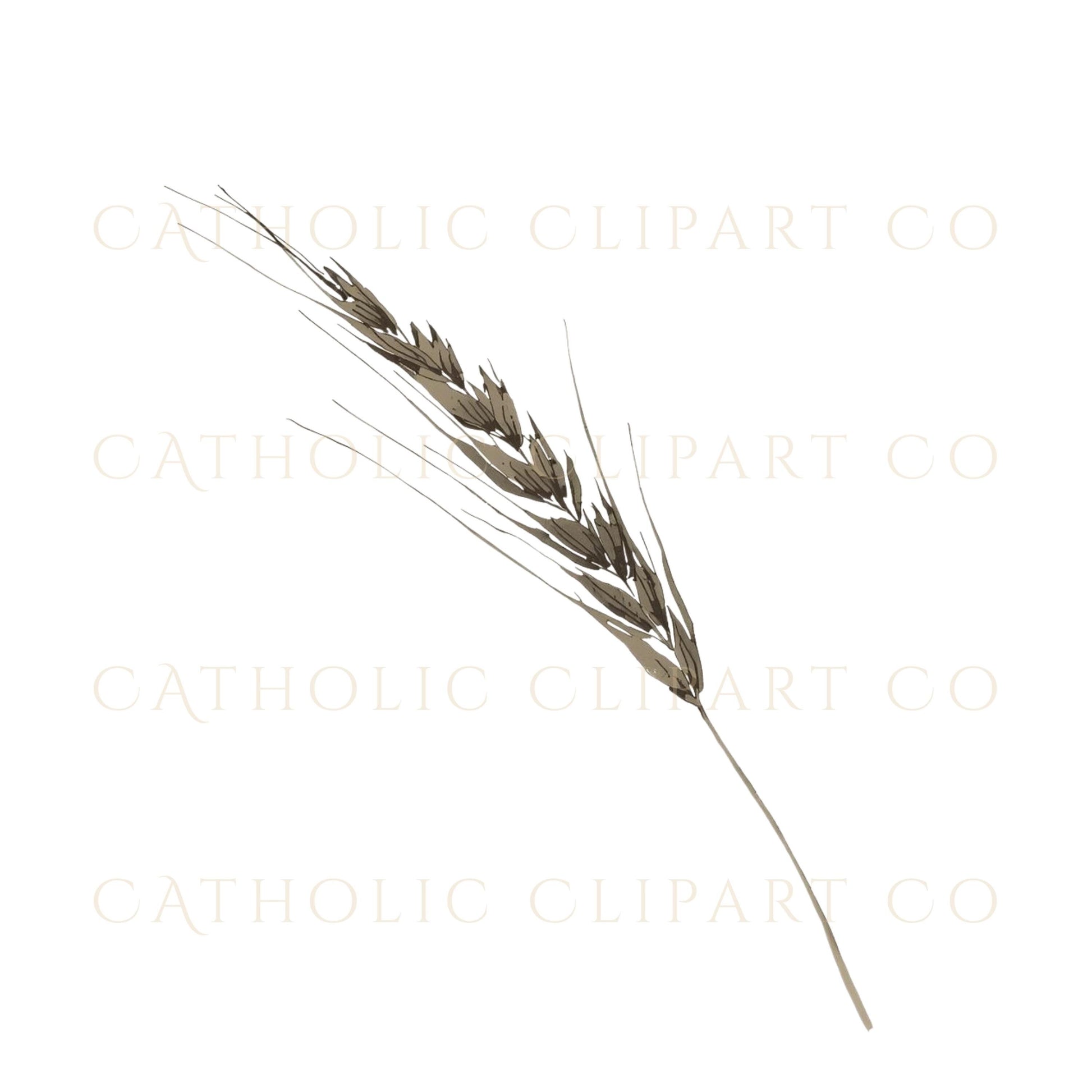 Catholic Baptism oil bottle clipart in soft watercolor and gold tones | Clipart católico del óleo bautismal en acuarela suave con tonos dorados