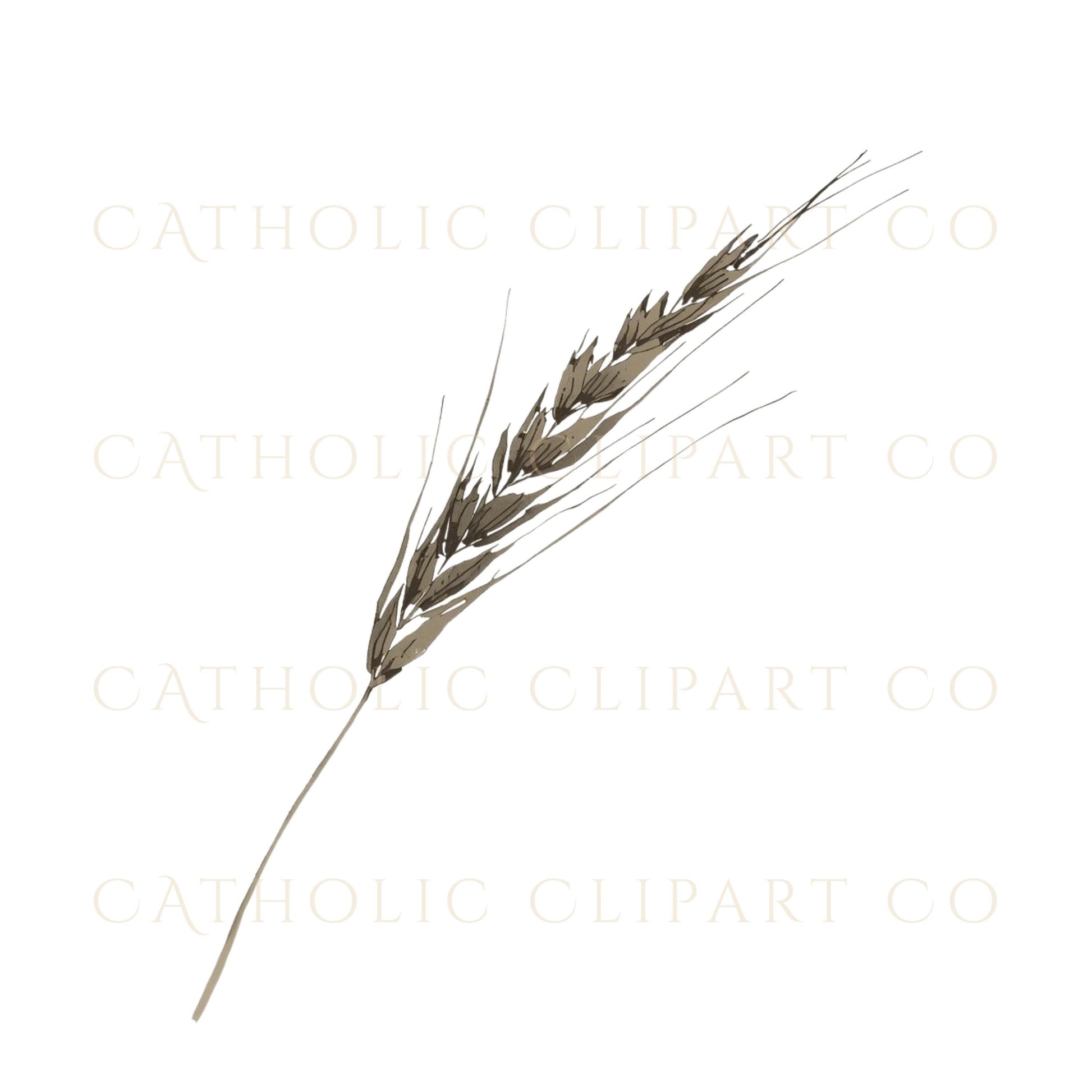 Holy Spirit dove clipart in elegant gold and watercolor Catholic design | Clipart de la paloma del Espíritu Santo en estilo católico con acuarela y dorado