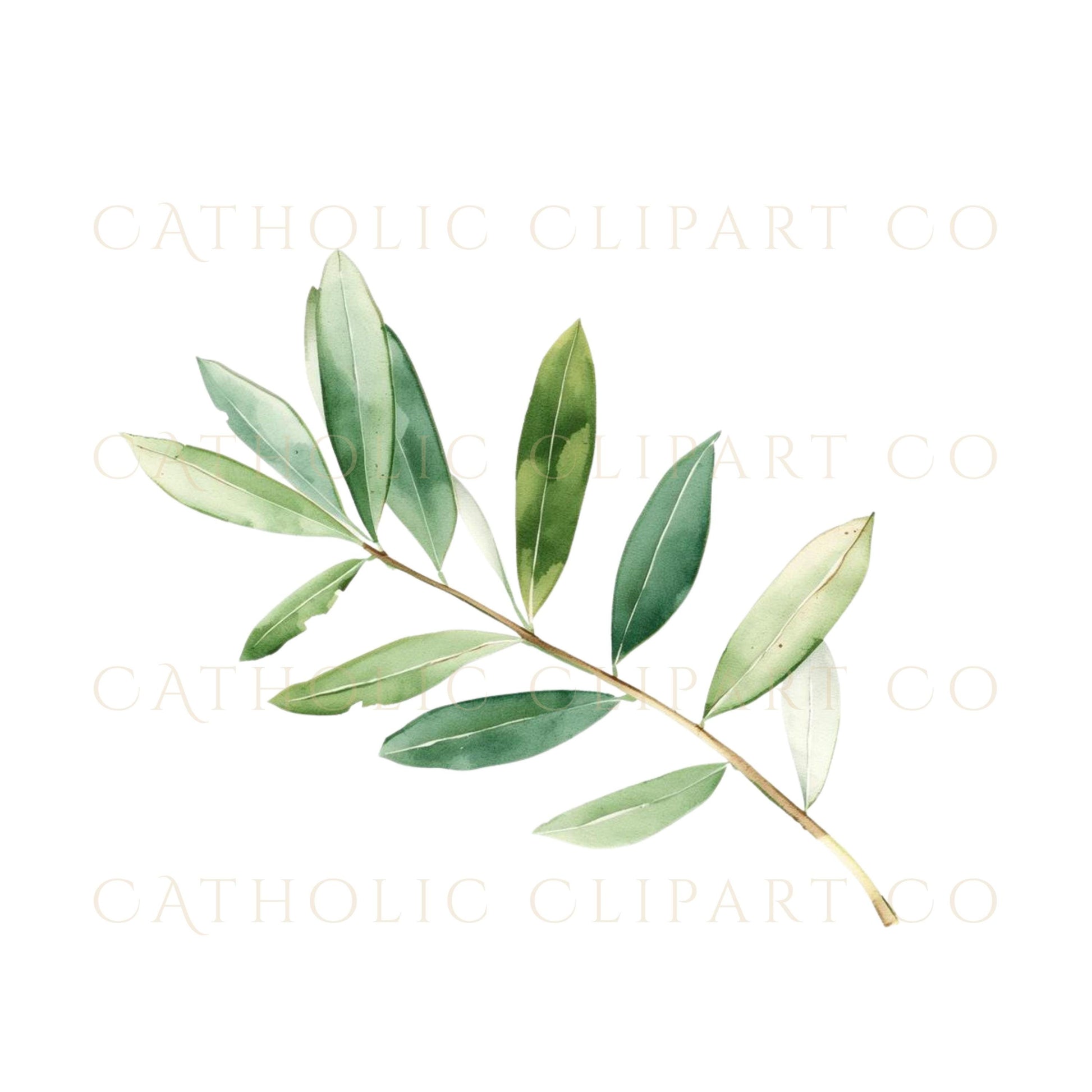 Open Bible clipart in soft watercolor Catholic religious art | Clipart de la Biblia abierta en acuarela suave con arte religioso católico