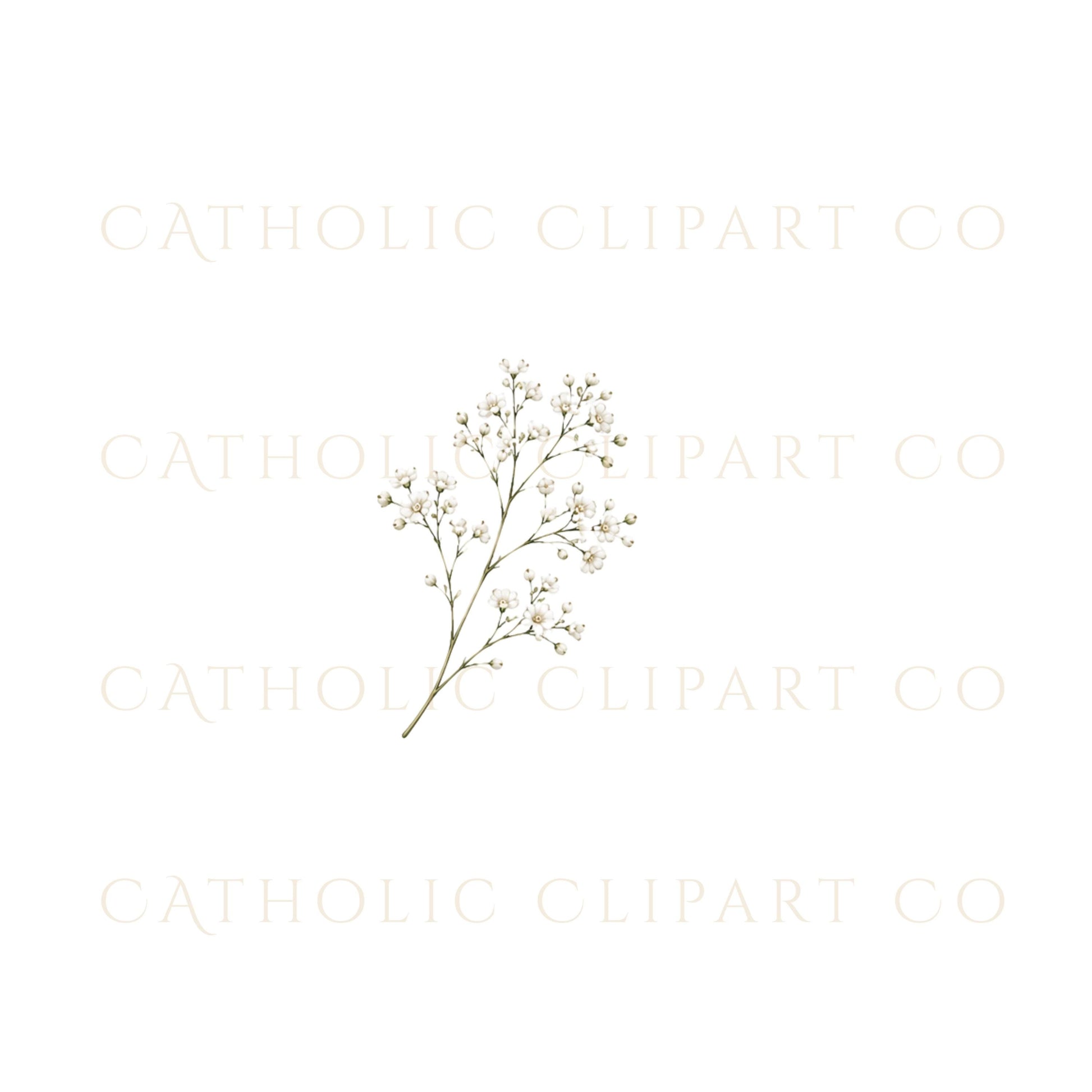 Lily flower clipart with soft watercolor details and botanical greenery | Clipart de lirios con suaves detalles en acuarela y follaje botánico