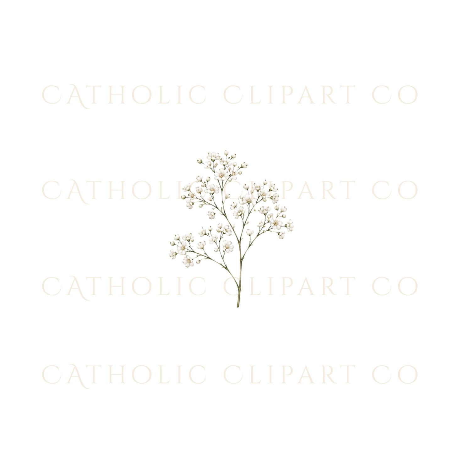 White rose clipart PNG arrangement for wedding invitations and luxury stationery | Arreglo de clipart PNG de rosas blancas para invitaciones de boda y papelería elegante