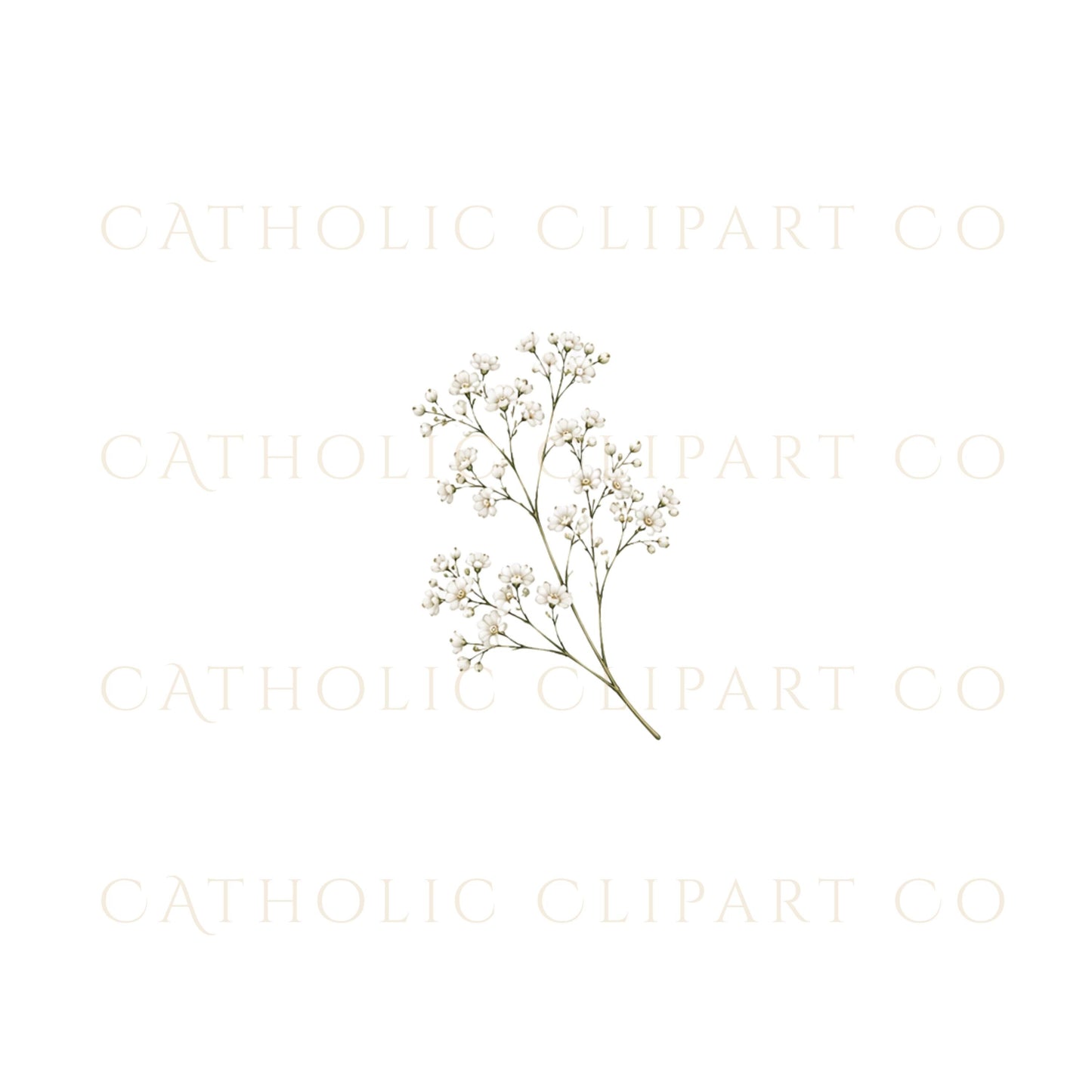 Floral clipart bundle for wedding designs, branding, and Canva templates | Paquete de clipart floral para diseños de boda, branding y plantillas de Canva