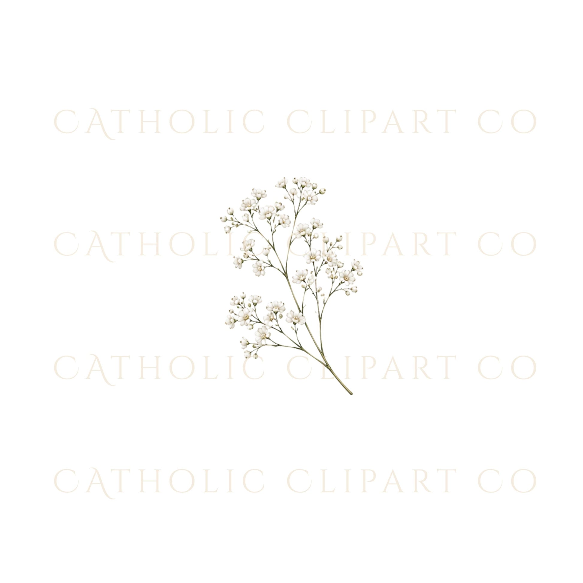 Floral clipart bundle for wedding designs, branding, and Canva templates | Paquete de clipart floral para diseños de boda, branding y plantillas de Canva