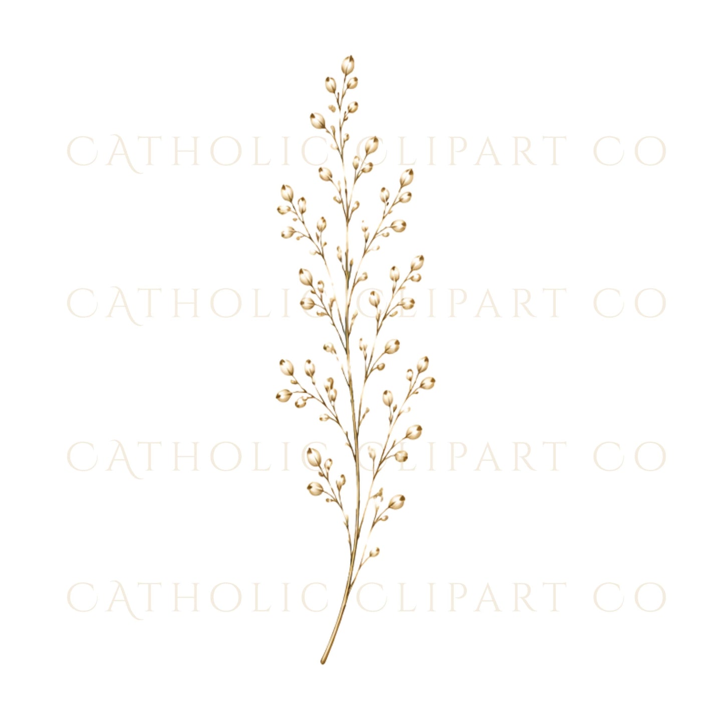 Botanical watercolor floral graphics for wedding invitations and event signage | Gráficos florales botánicos en acuarela para invitaciones de boda y señalización de eventos