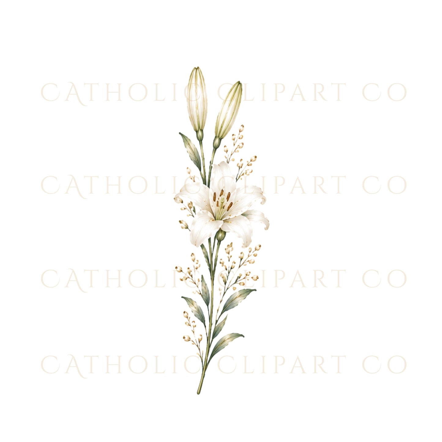 Luxury floral PNG bundle with white blooms and romantic wedding accents | Paquete floral PNG de lujo con flores blancas y detalles románticos para bodas