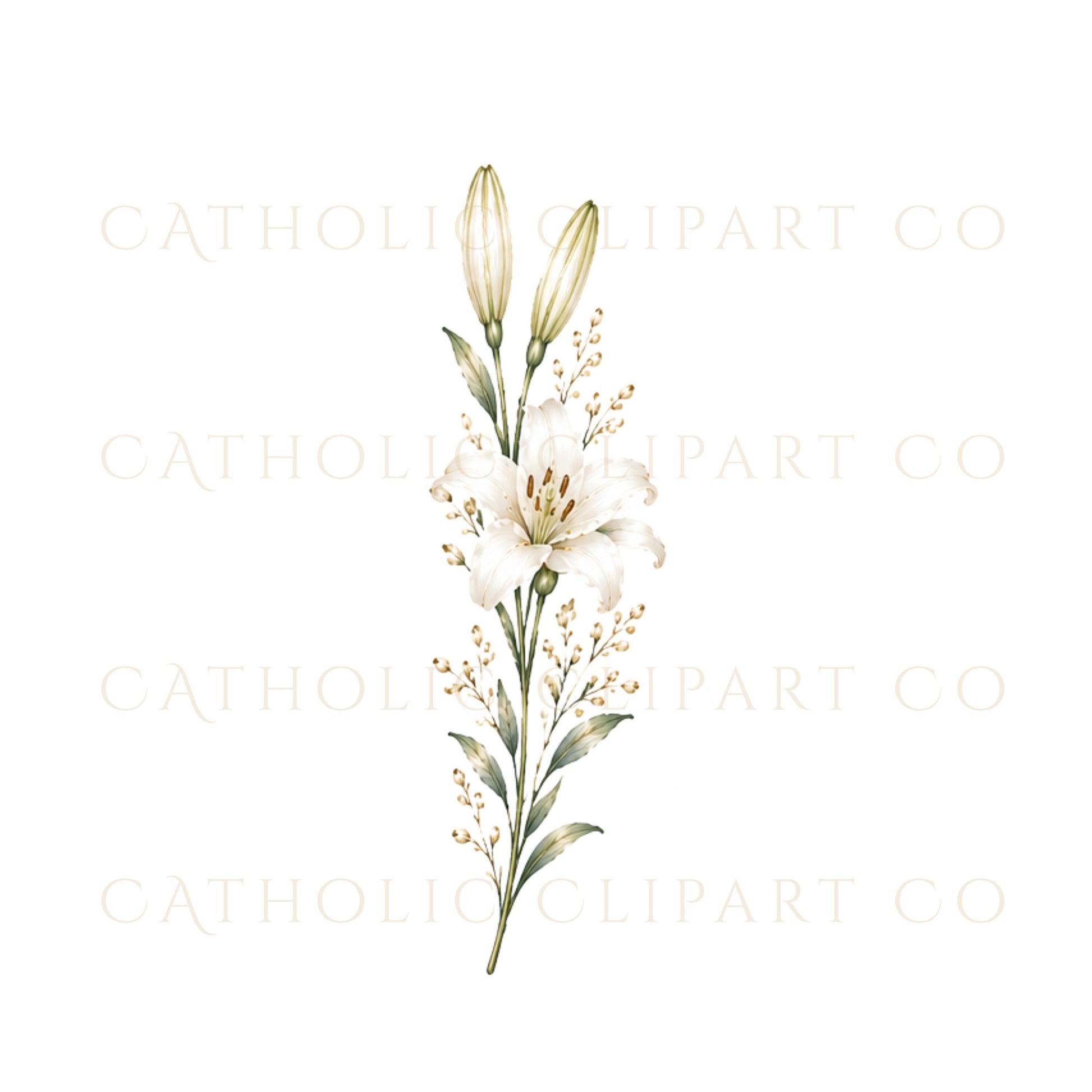 Luxury floral PNG bundle with white blooms and romantic wedding accents | Paquete floral PNG de lujo con flores blancas y detalles románticos para bodas