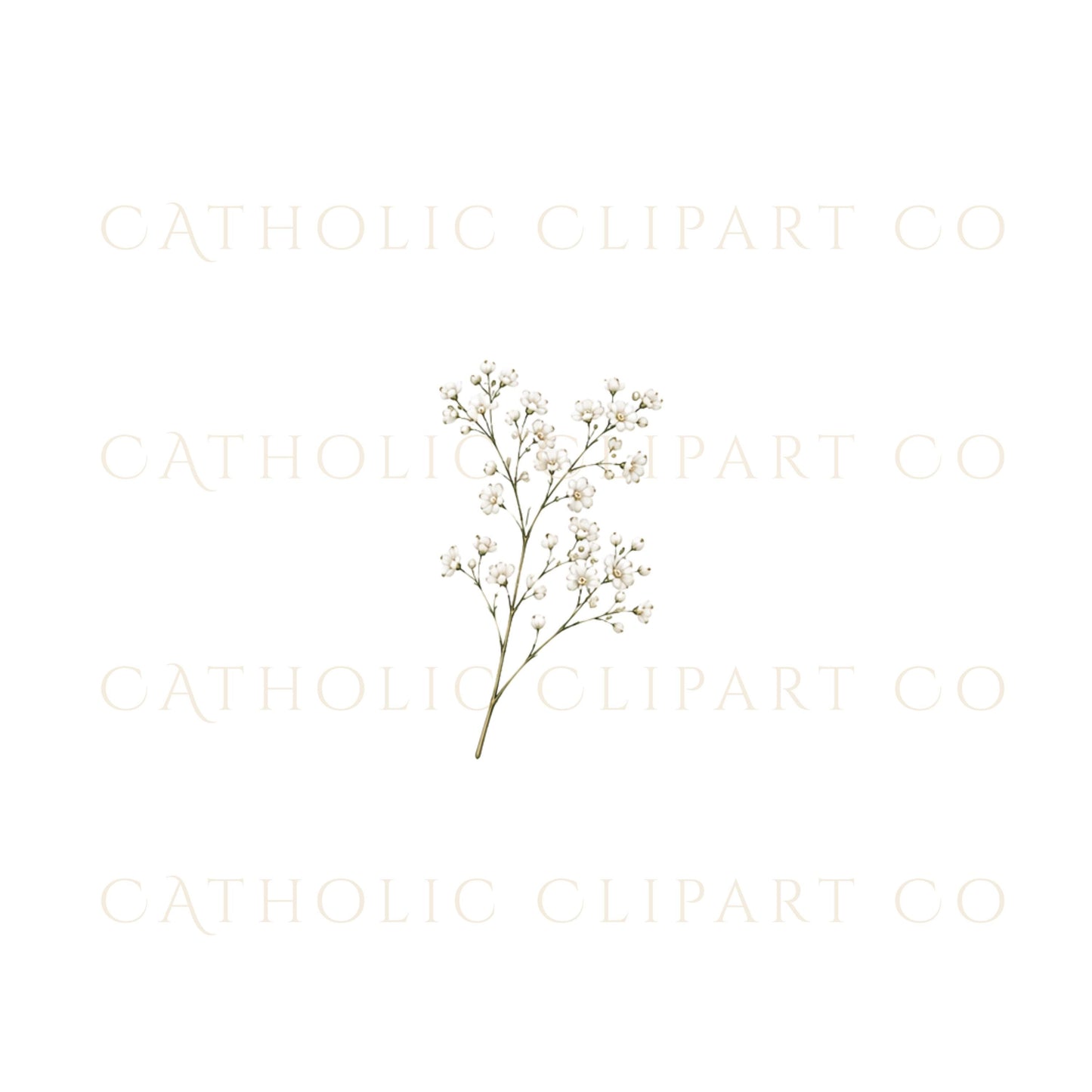Wedding floral graphics bundle with romantic white flowers and botanical elements | Paquete de gráficos florales para bodas con flores blancas románticas y elementos botánicos