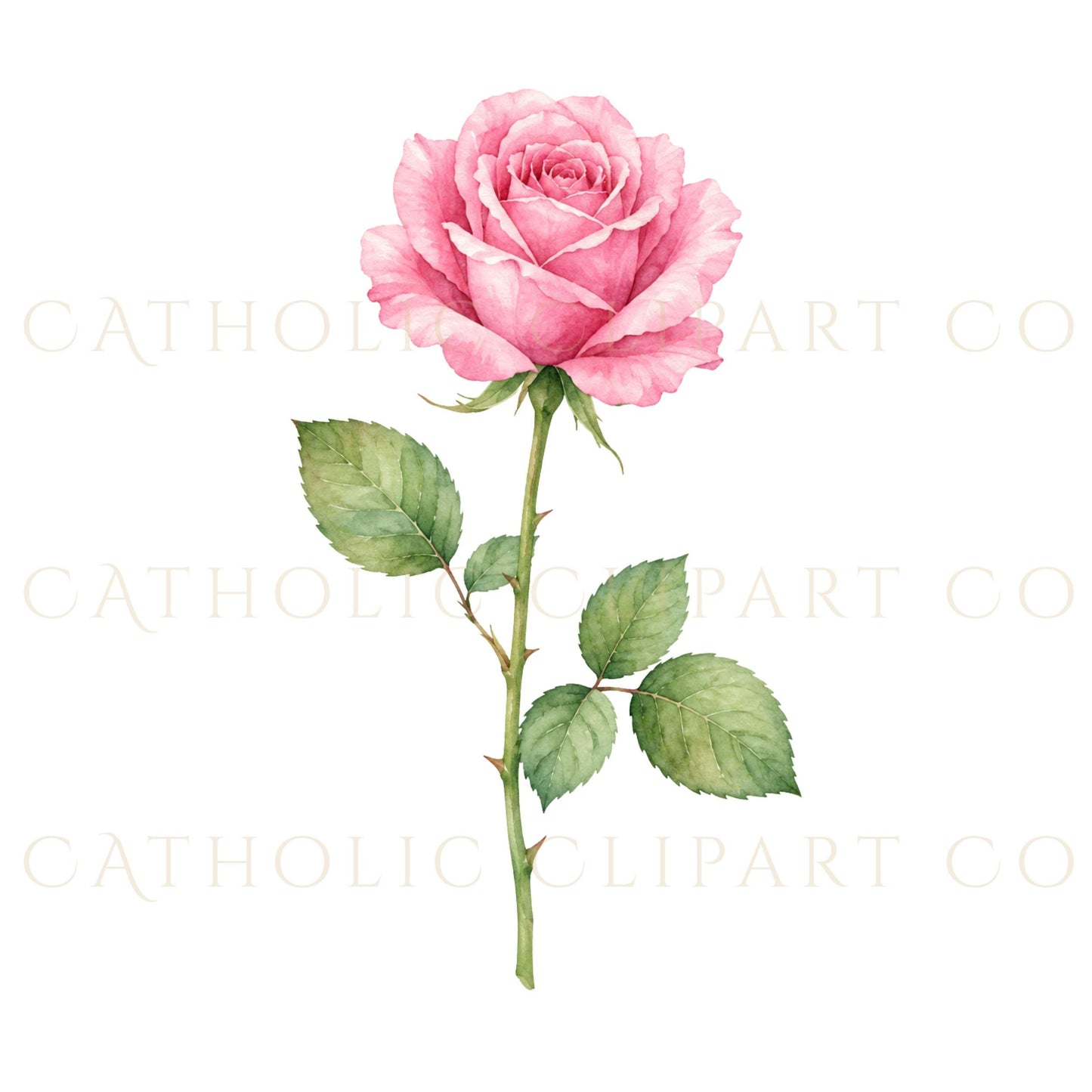 Oval holy card portrait of St Therese with gold frame and roses, Catholic PNG clipart | Retrato de Santa Teresita en marco ovalado dorado con rosas, clipart católico PNG